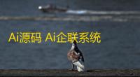 Ai源码 Ai企联系统源码 商用去授权 支持文心 星火 GPT4等等20多种接口