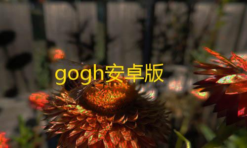 卡盟平台自助下单低价gogh安卓版